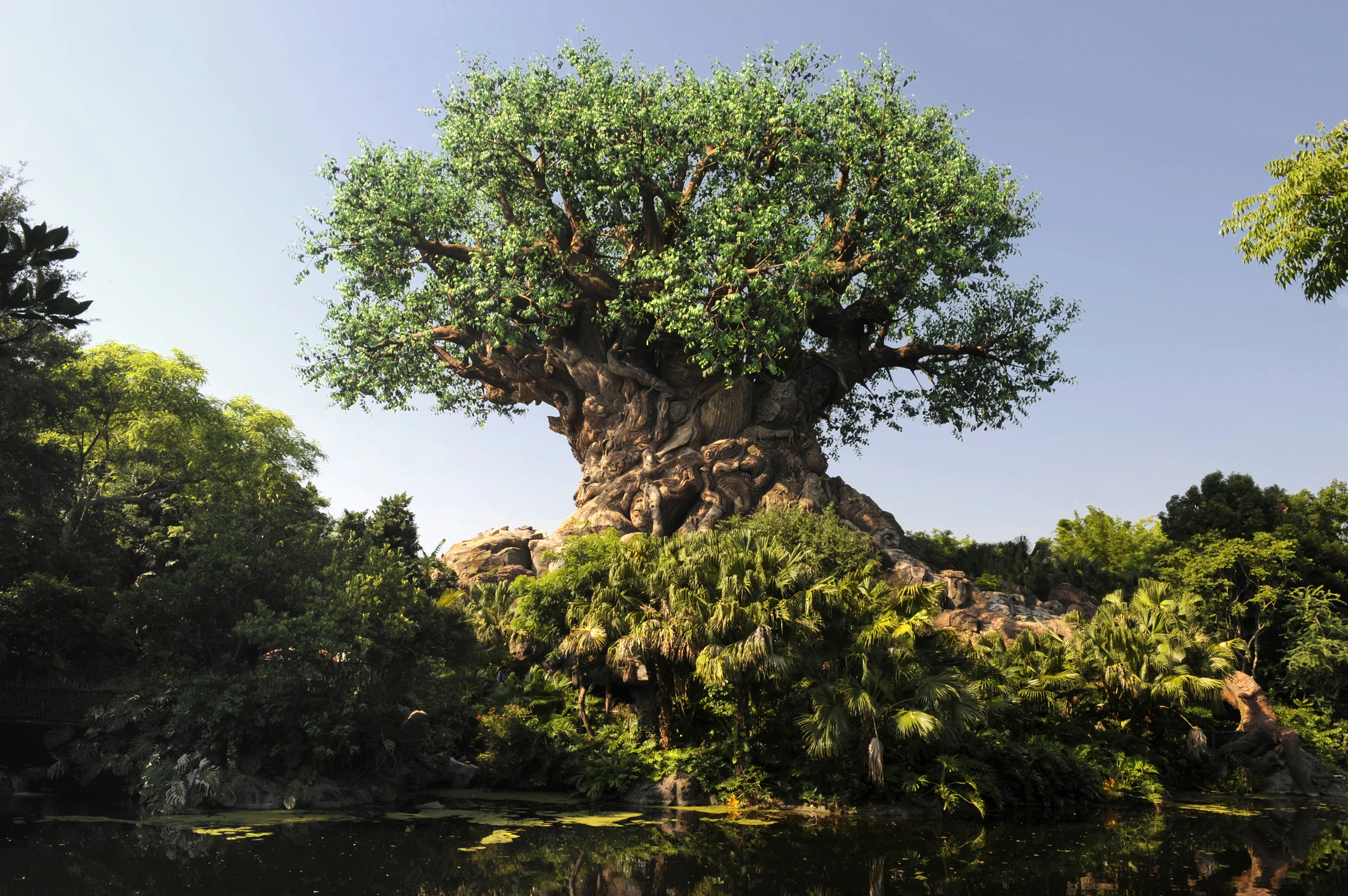 Animal Kingdom