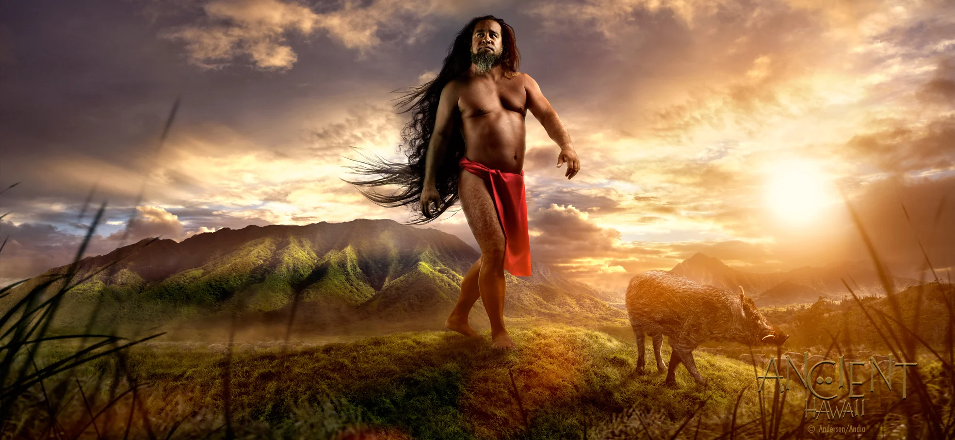 kamapua'a web.jpg