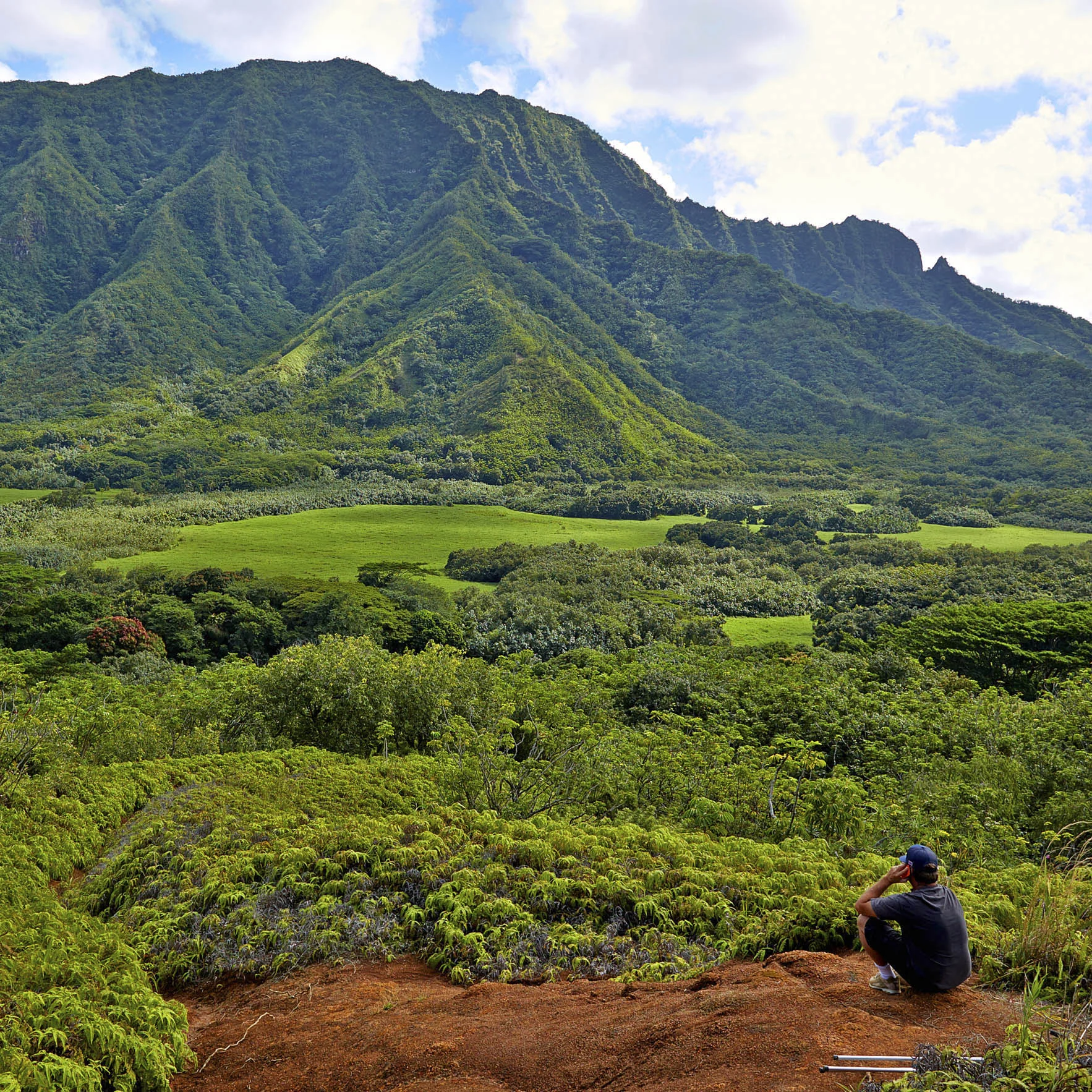 On location in Hawaii.