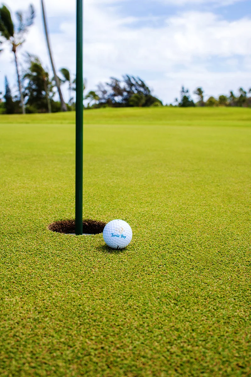 web_RKA_golf_5798.jpg