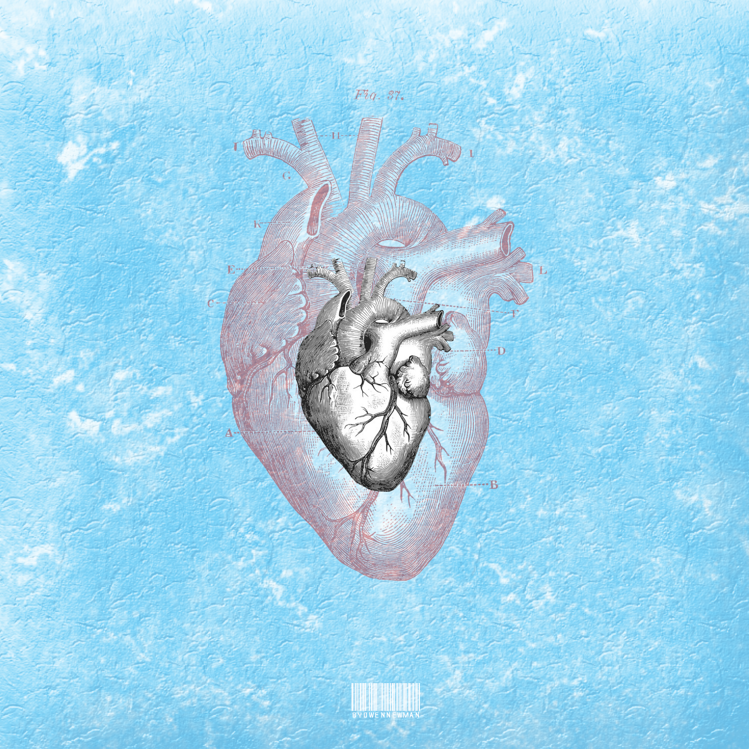 Cover Art By Owen Newman“Heart On Ice” - Rod Wave (Remix) [O.Newman EDIT]