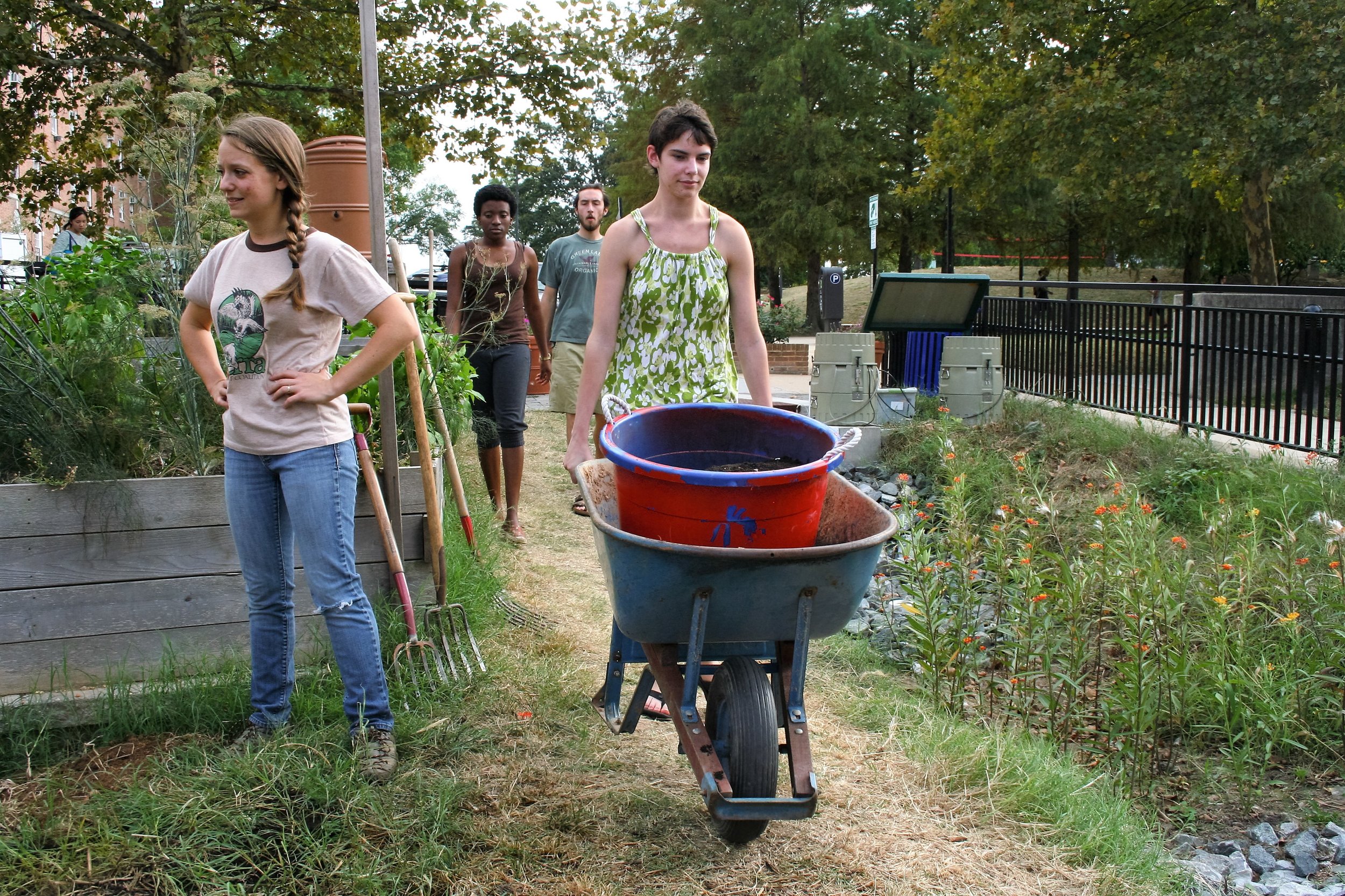  Meredith Epstein, left, the faculty adviser of the Public Health Garden and a teacher of sustainable agriculture at the University of Maryland oversees volunteers as they transport compost to the hillside of the garden on Sept. 28, 2015. Epstein sai