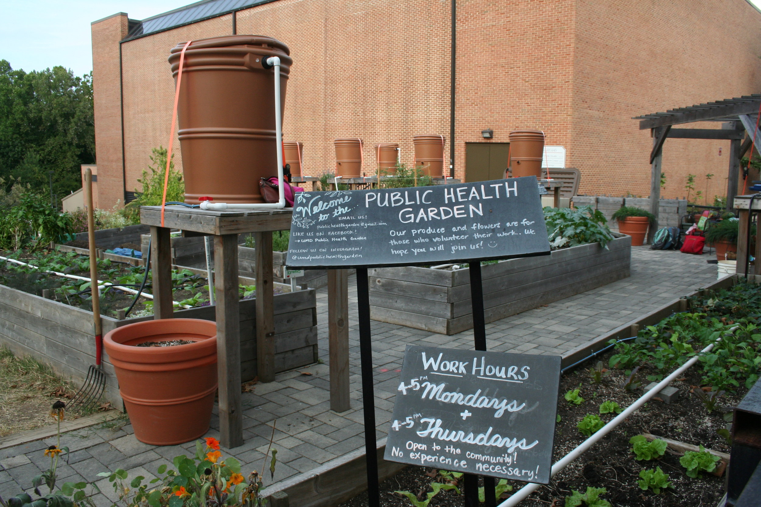  The Public Health Garden Club began at the University of Maryland, College Park in 2010 as a graduate student project. Today, it is fueled by both undergraduate and graduate students, as well as faculty, staff and local volunteers. All are welcome t