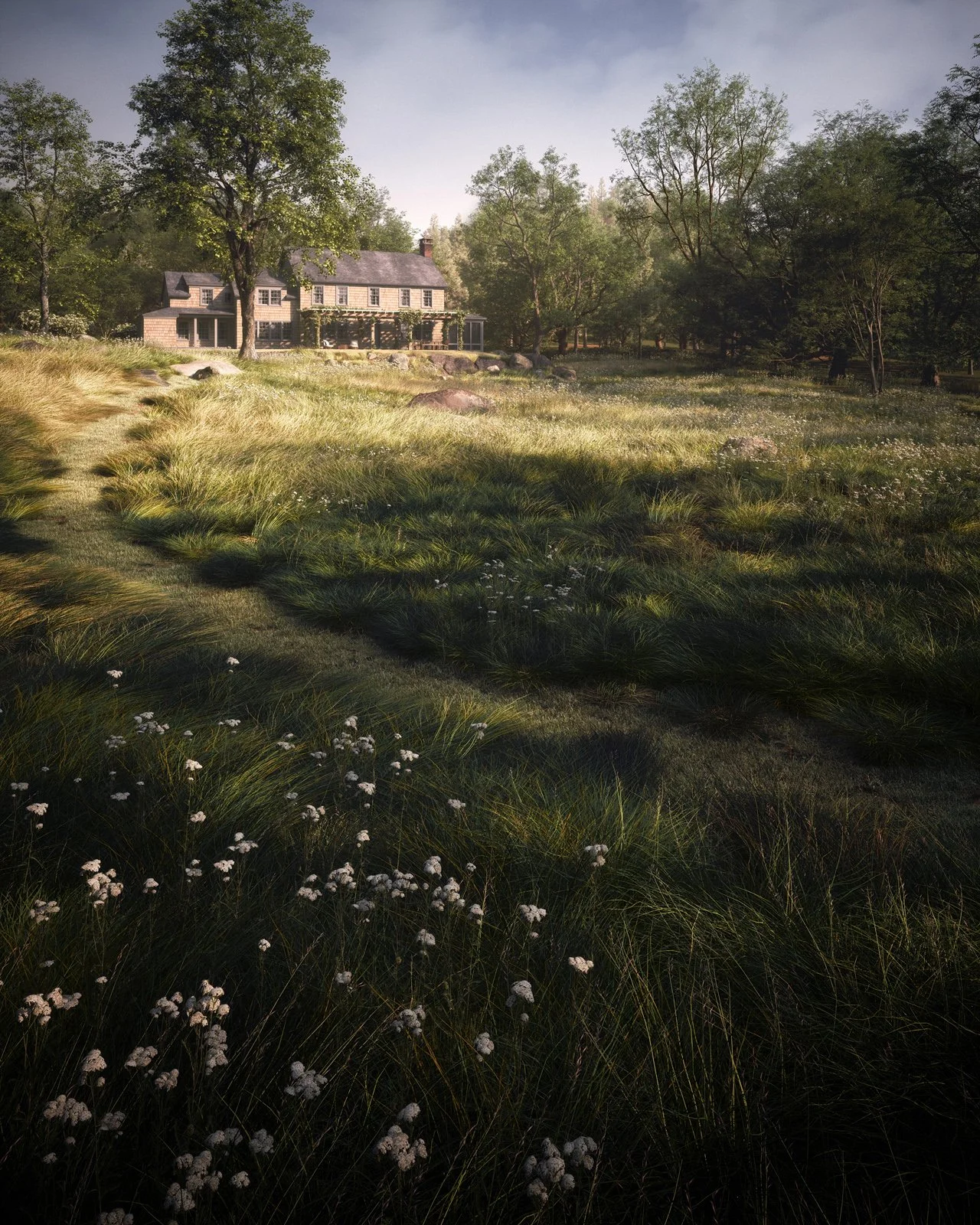 HOUSE IN THE MEADOW   Architects Pete Hanby and Tom Lontine