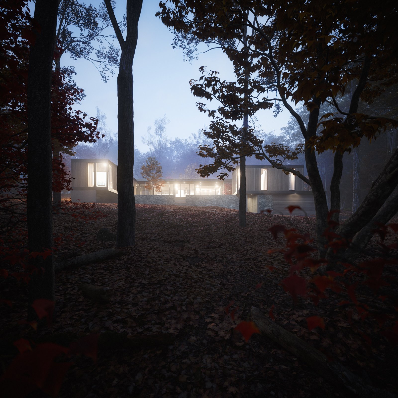 HOUSE IN THE WOODS   Architects Pete Hanby and Tom Lontine
