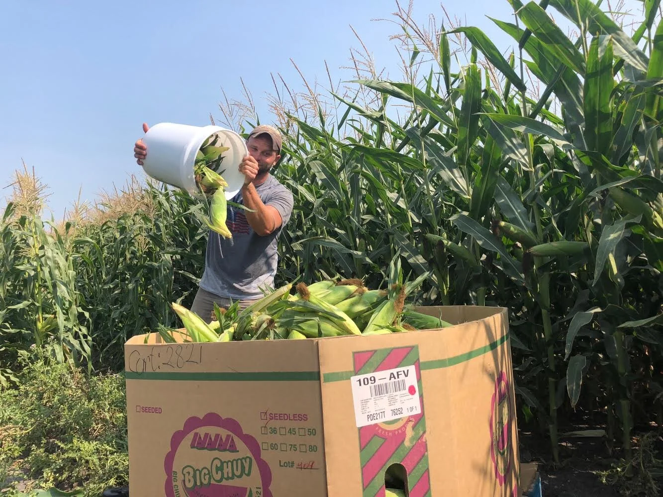 Volunteer Opportunities