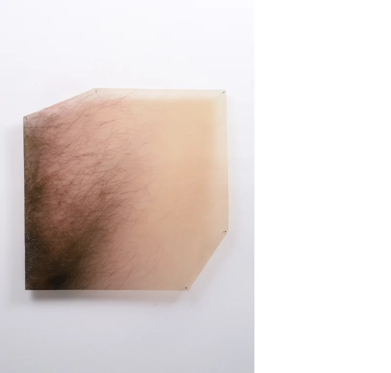 pubecube.jpg