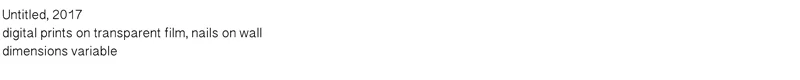 dimensions-variable.jpg