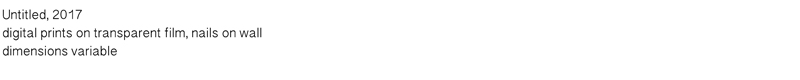 dimensions-variable.jpg