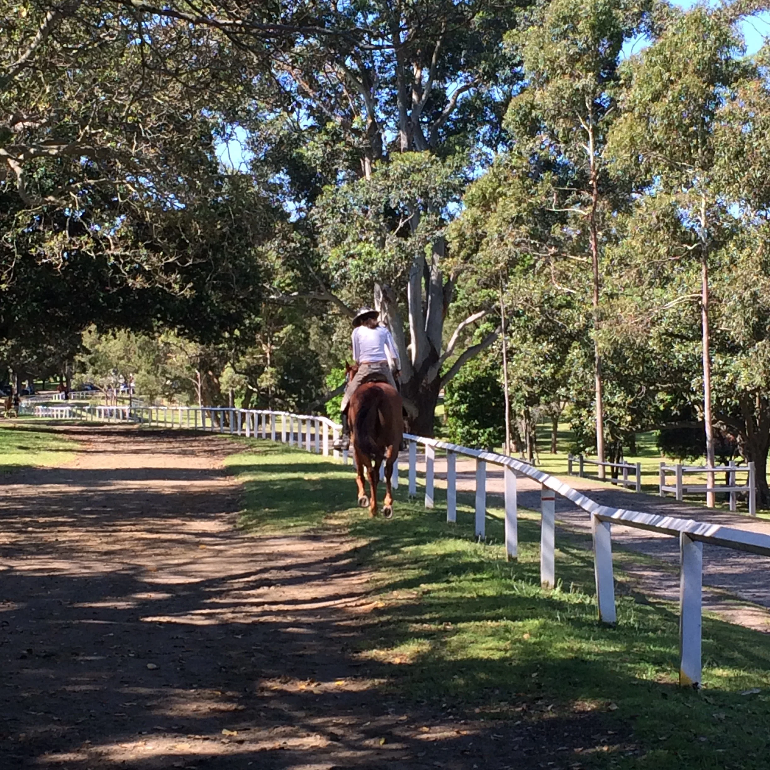 Centennial Park - Sydney, New South Wales