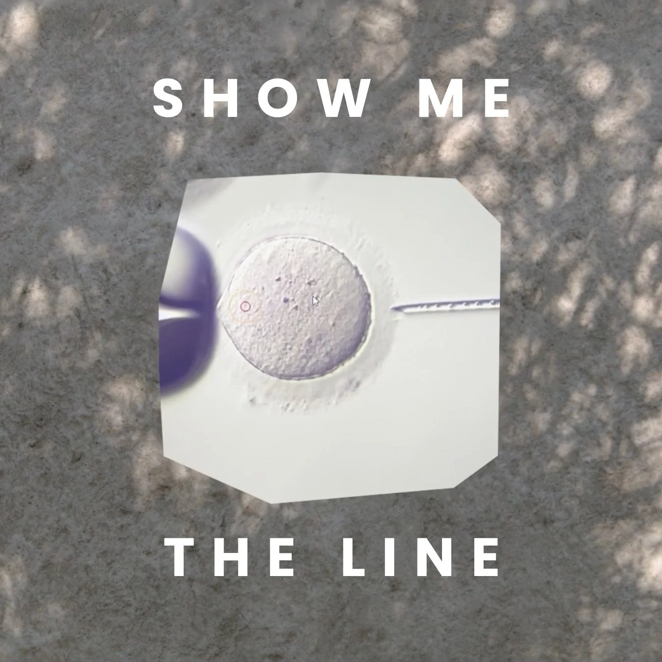 showmetheline_thumbnail - Stacey Davis.jpg