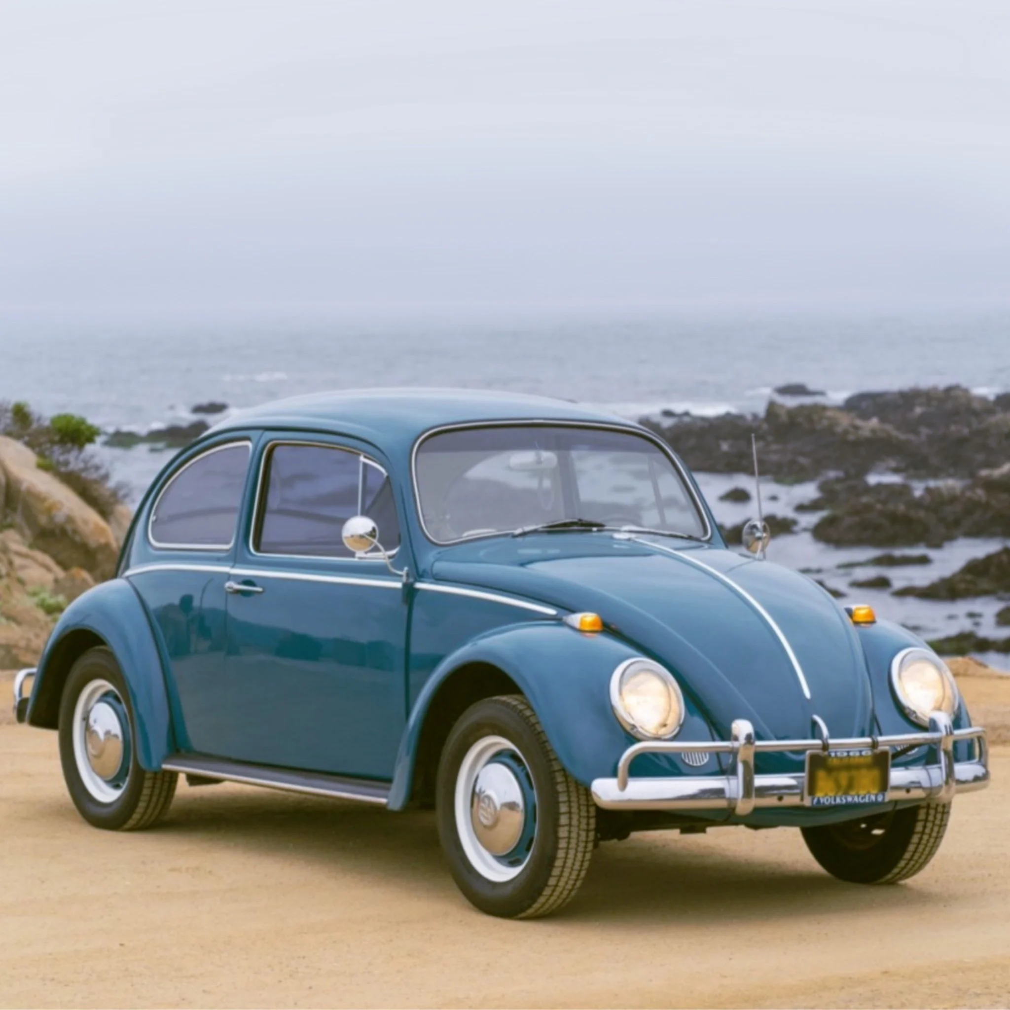 How many elephants fit inside a volkswagen beetle?