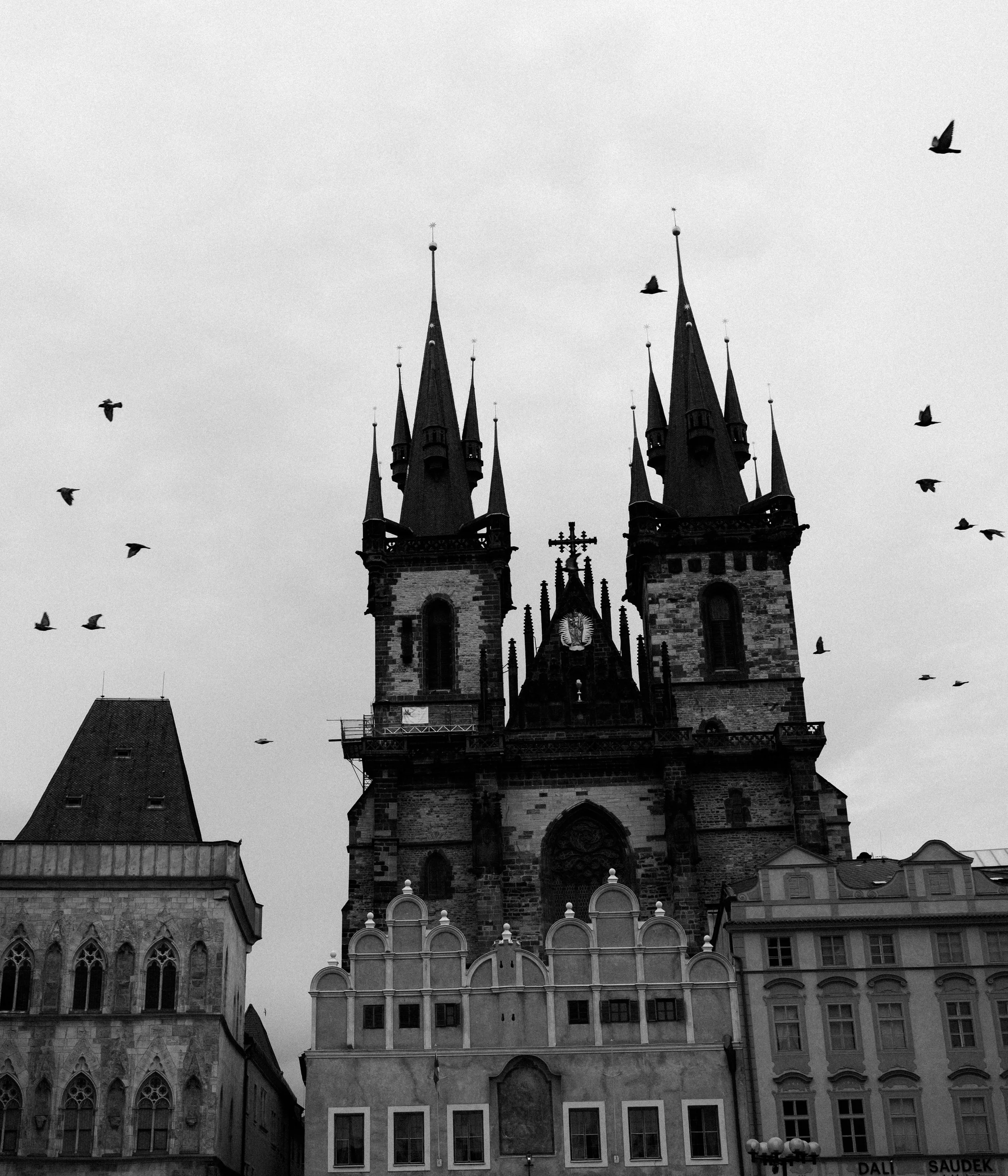 DSC_7810-3.jpg