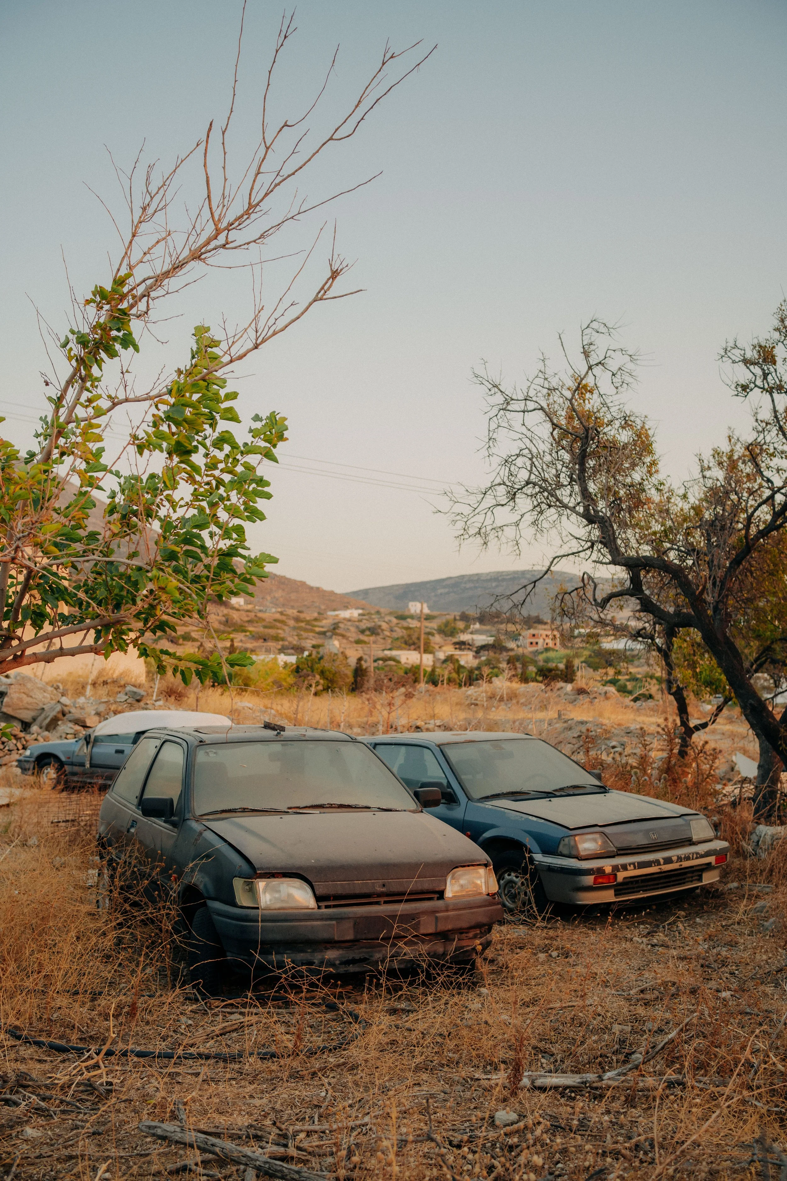 DSC_9214.jpg