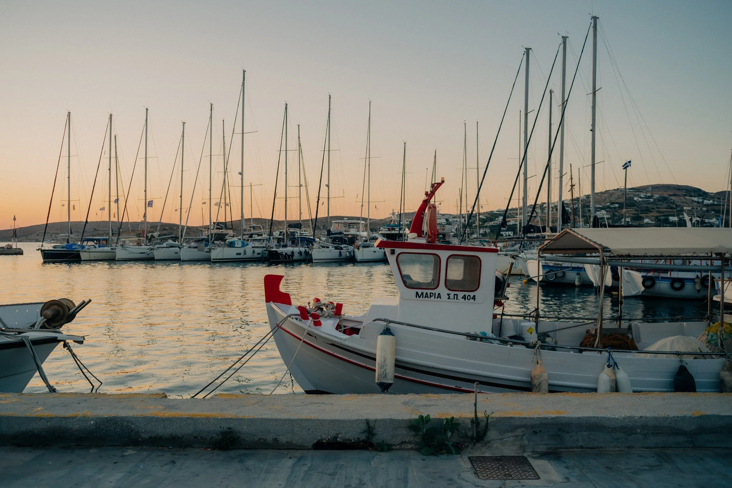 P1016155.jpg