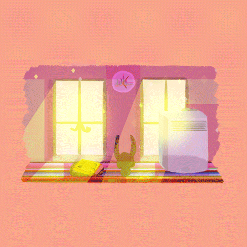 window_reduced.gif