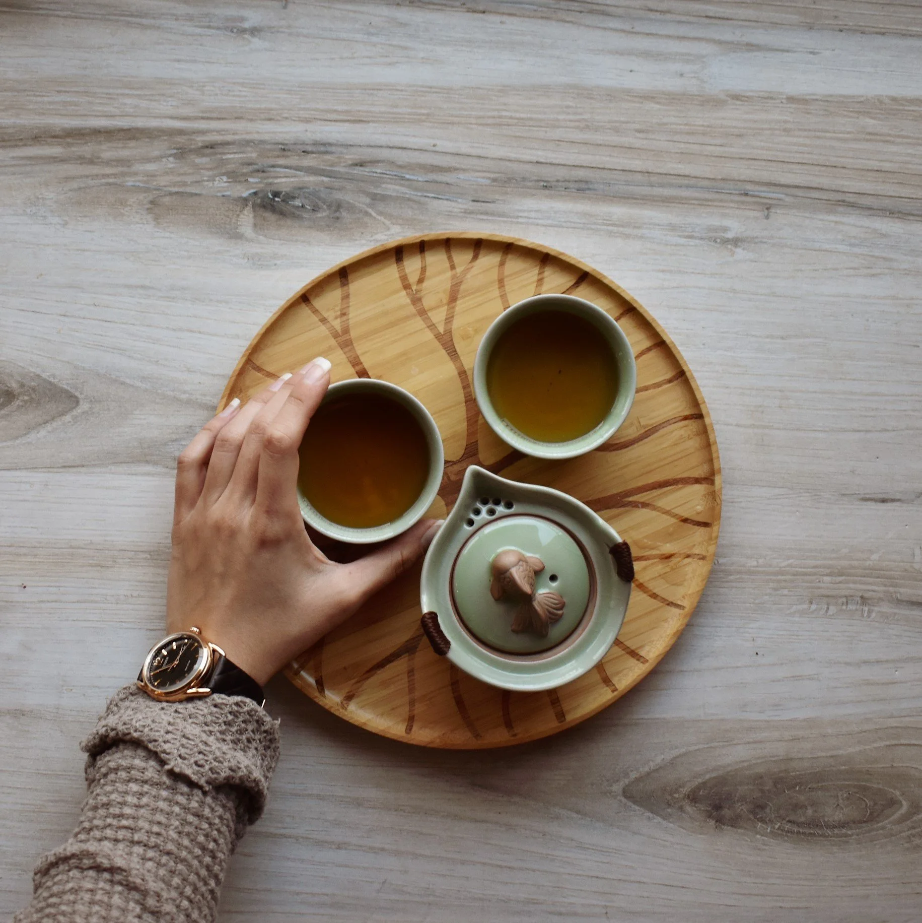 Meet Nazanin — Tea Thoughts
