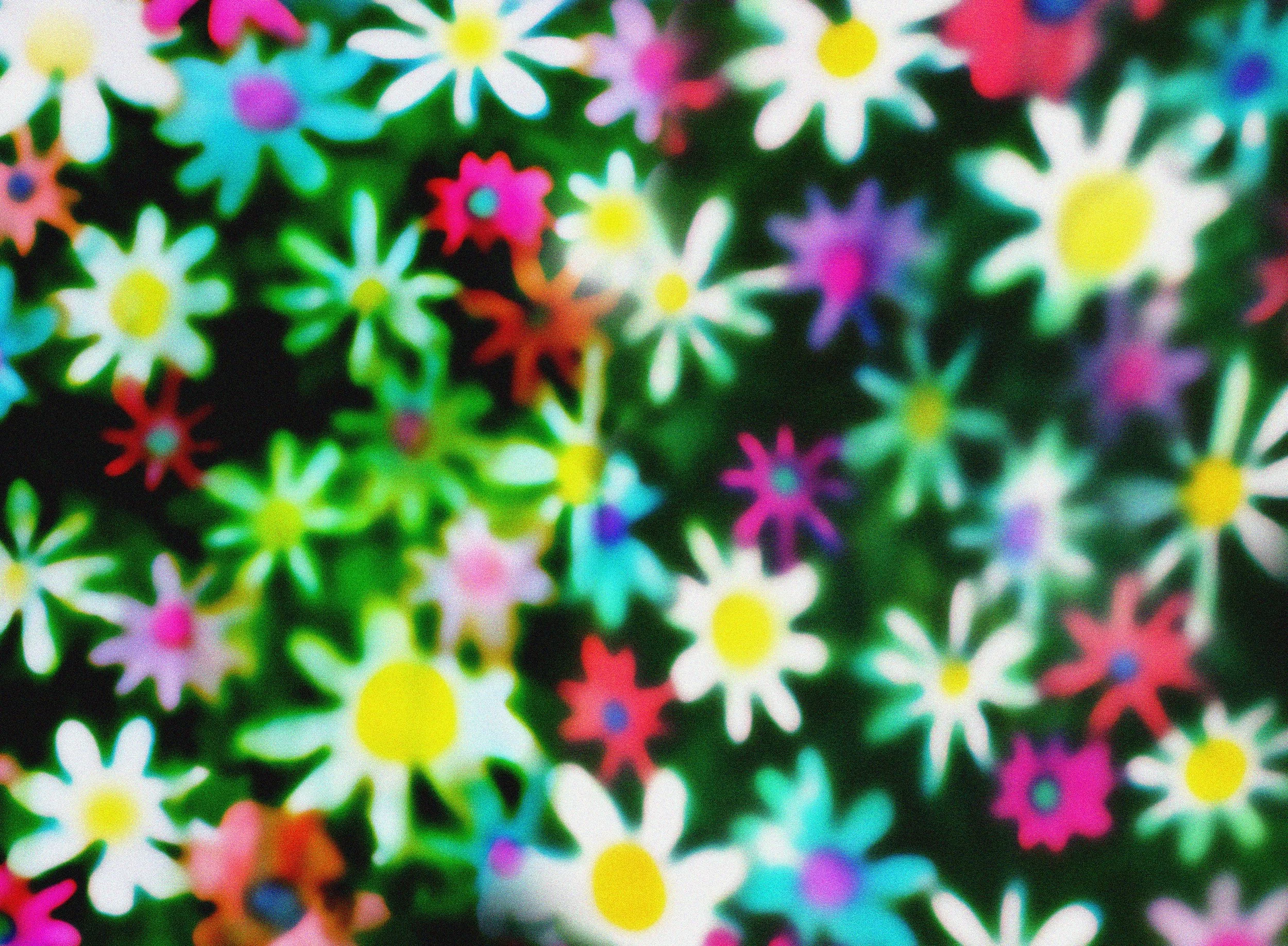 Hazy Daisy Pattern for Blue Q, 2023