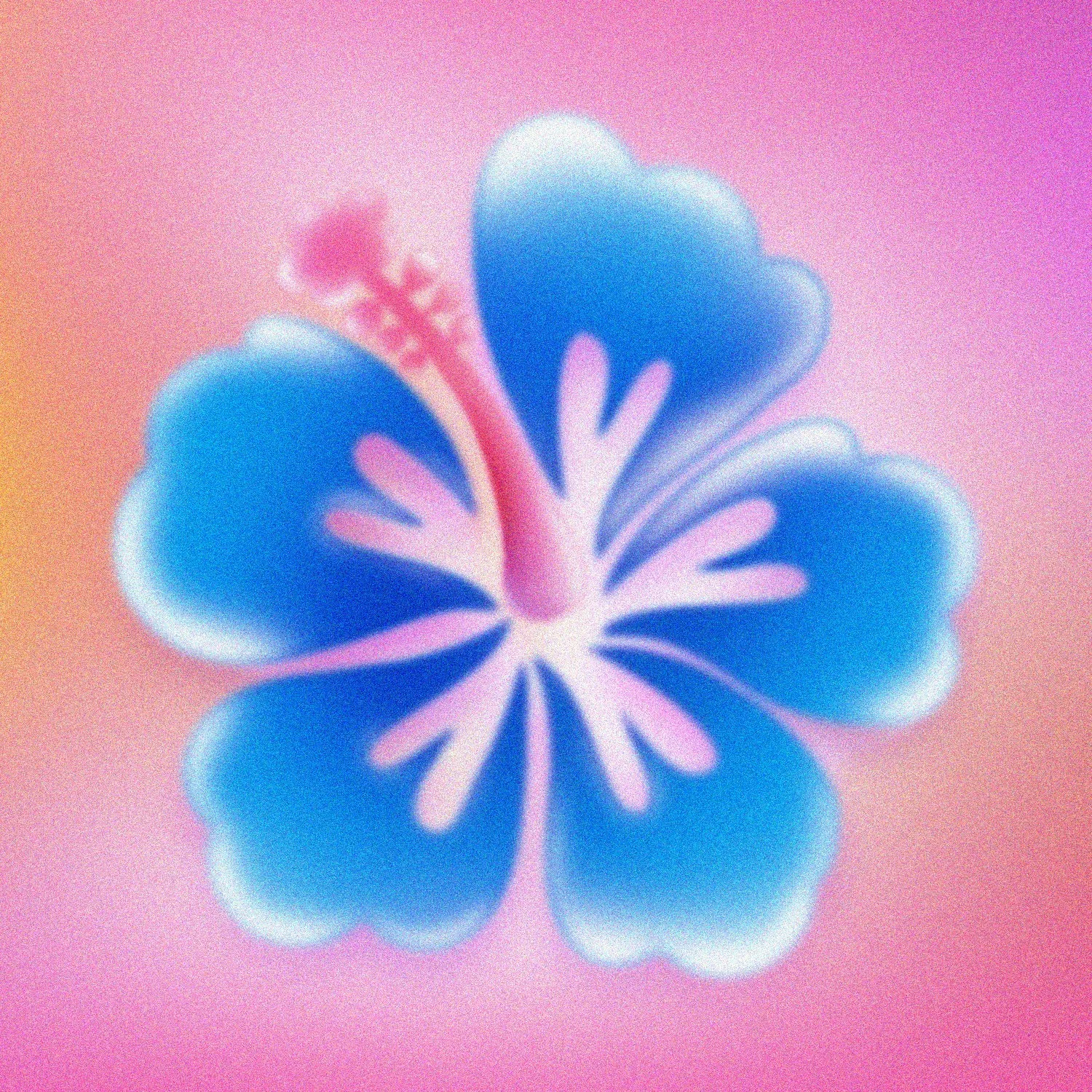 Hibiscus, 2025