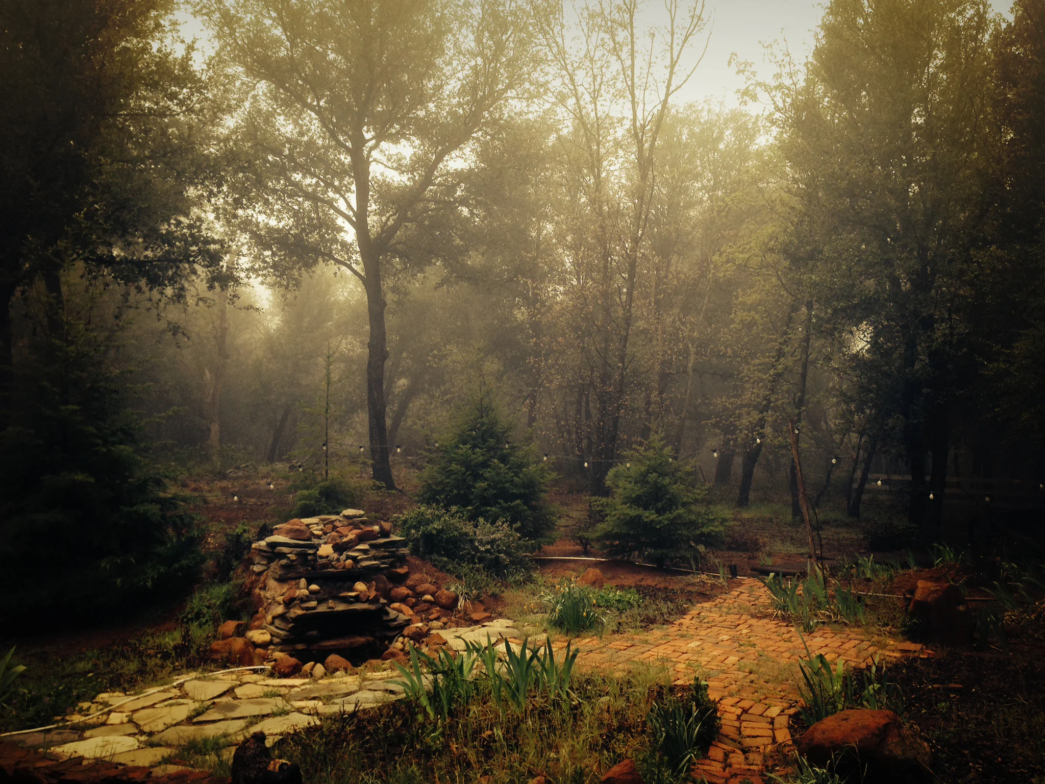 WATTSVILLE BACKYARD.jpg