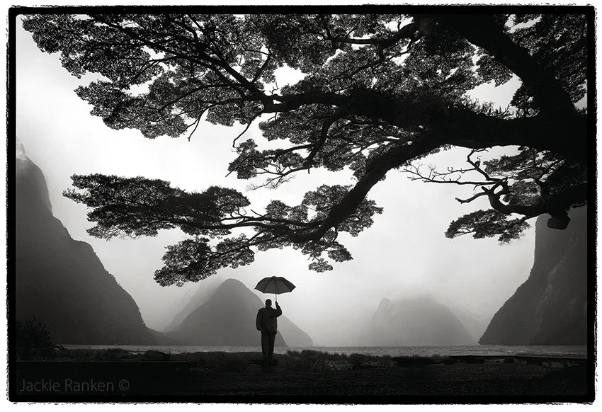 Milford Umbrella-Jackie Ranken