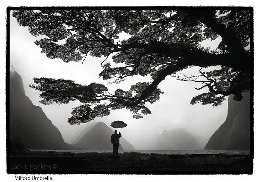 This is one of my best selling prints. It is an open edition.  Cotton Rag Paper with Archival Lucia Pro inks