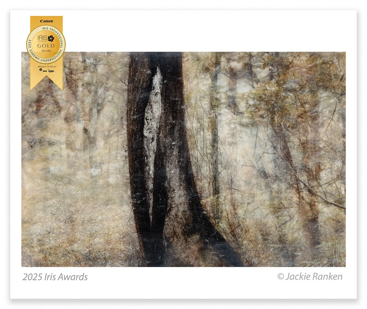 Tree-Copy-Gold.jpg