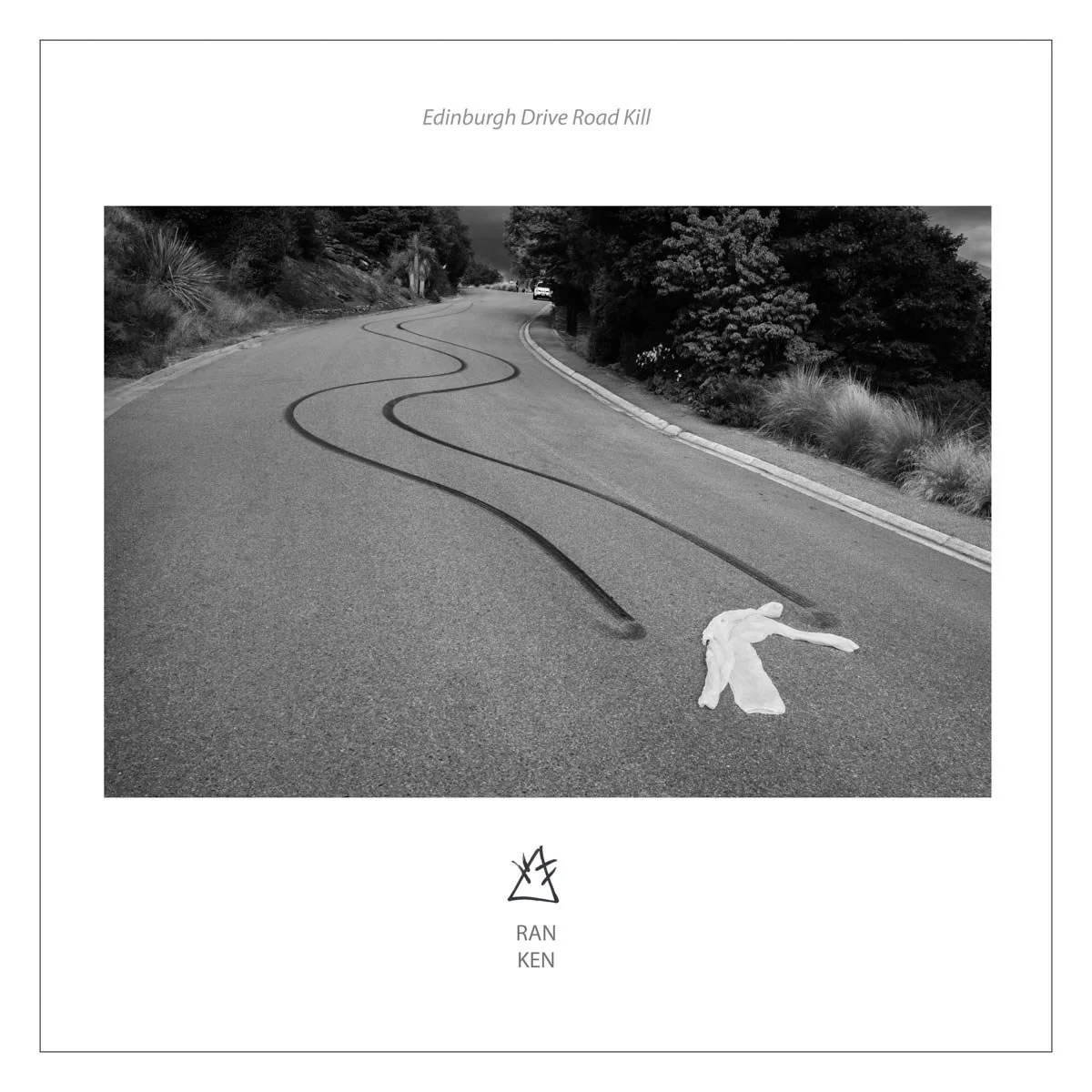 Edinburgh-Drvie-Road-Kill.jpg