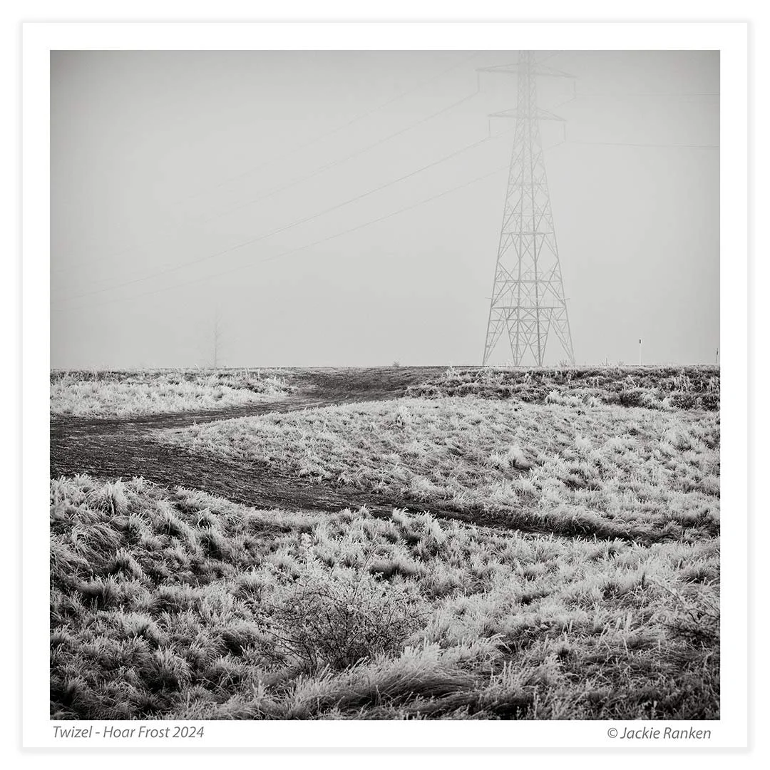 1-Hoar-frost-24-36-7-bw.jpg