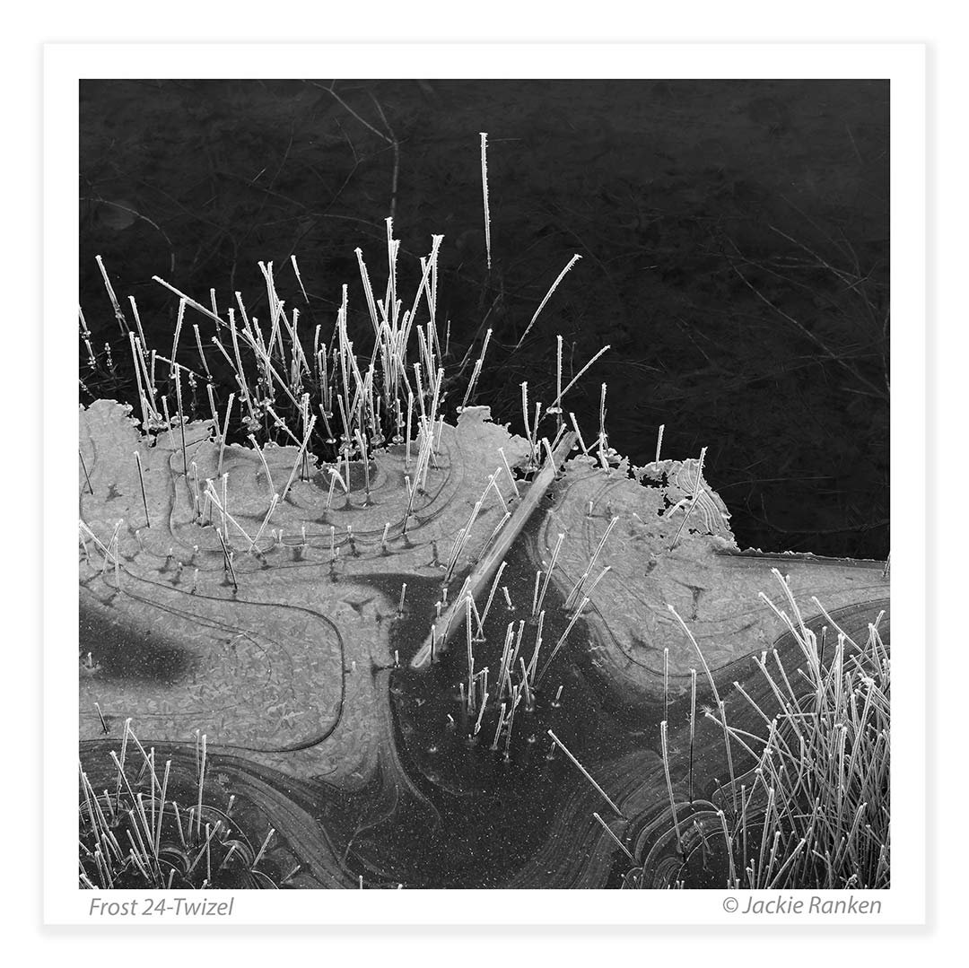 1-Hoar-Frost-24-125.jpg