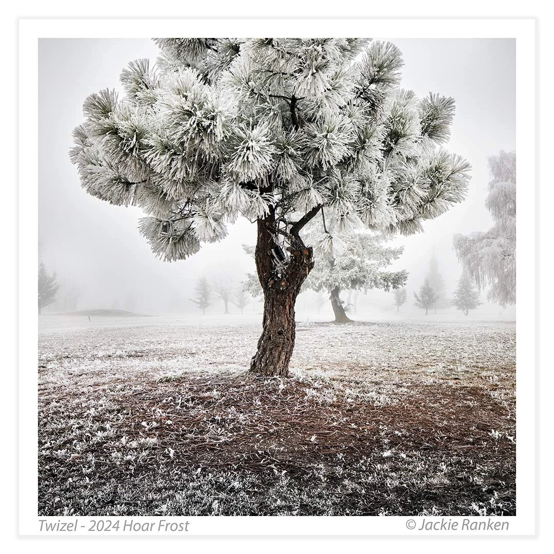 3-Hoar-Frost-24-222-3.jpg