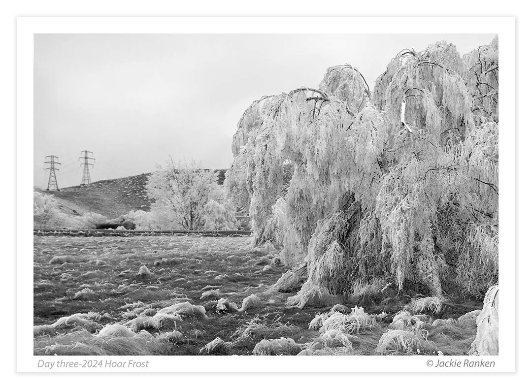 6-Hoar-Frost-24-077-Ranken.jpg