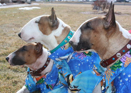 Hector, Rose and Roxy