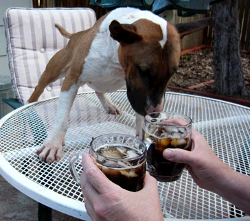  Happy Hour 
