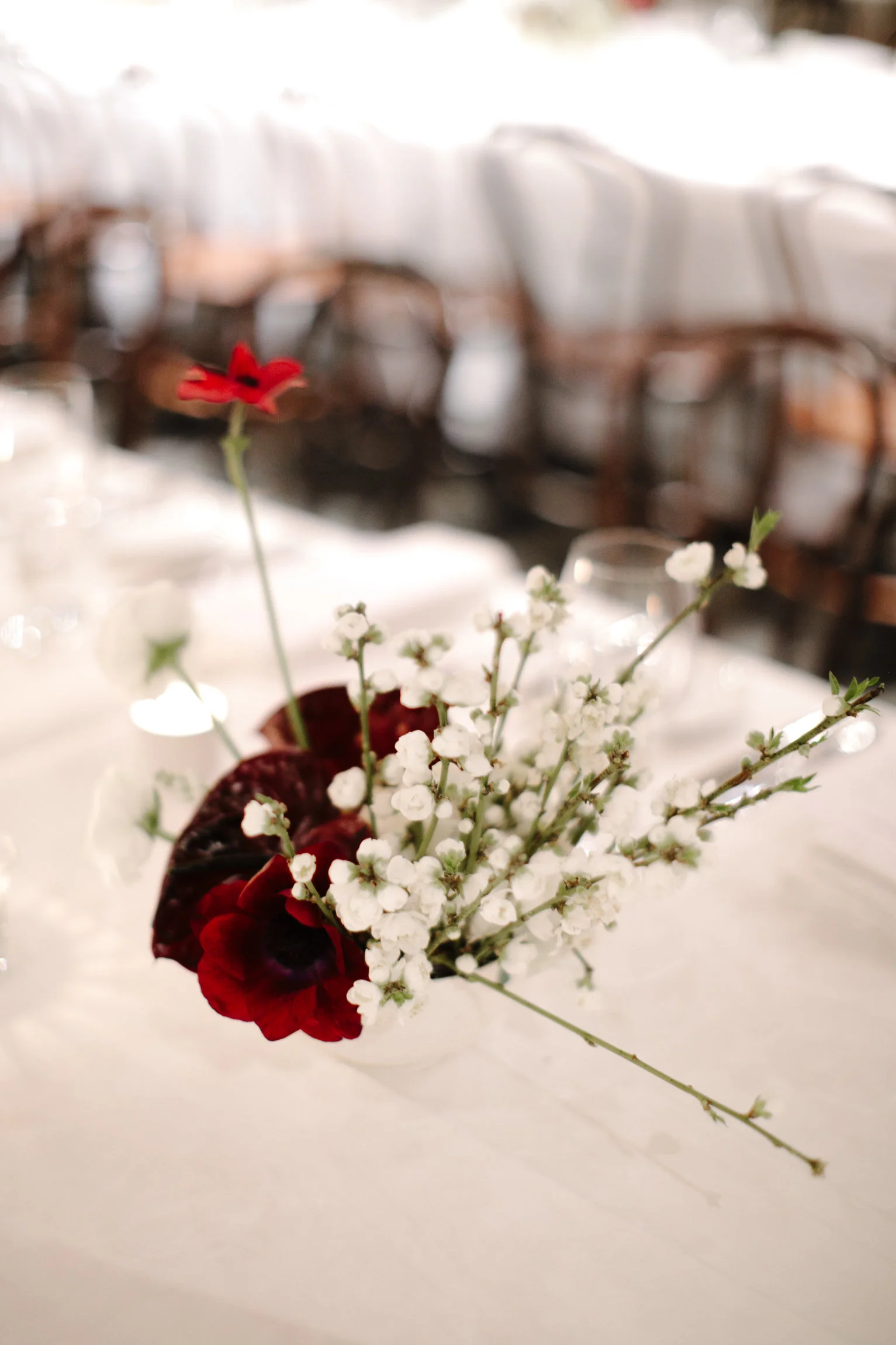 180811_justinaaron_wedding_giulia_rob_h-216.jpg