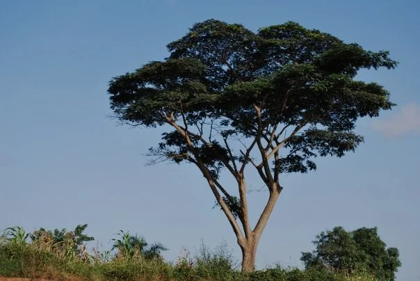 ABUJA, NIGERIA