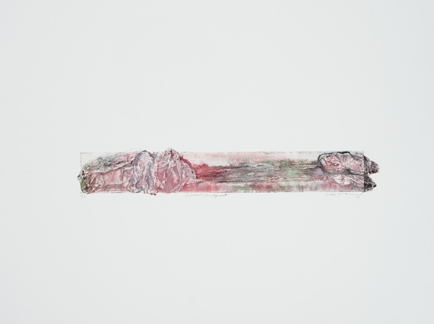 Roadkill Monoprint 2015