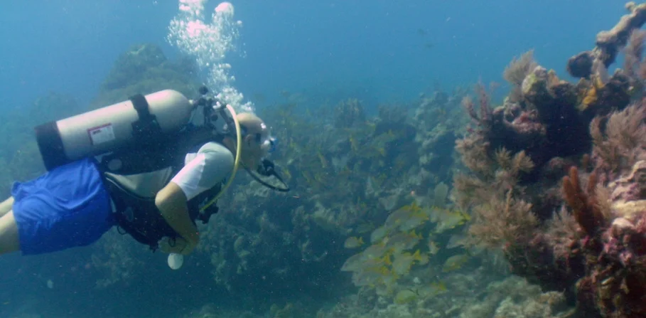 NEW WEBSITE REVEALED!