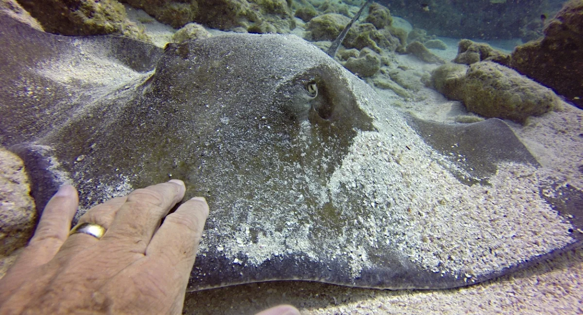 FINALLY - Back on the Water!