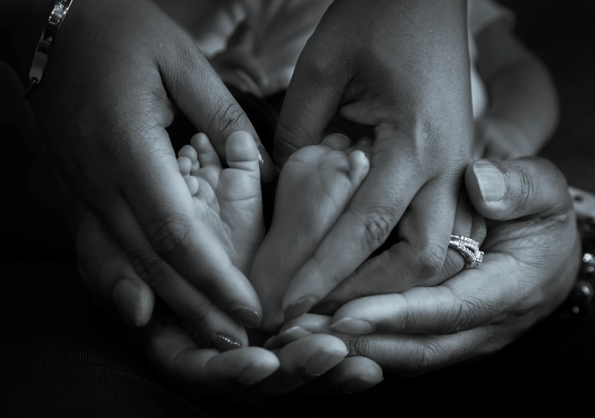 IMG_0062 as Smart Object-1-2.jpg