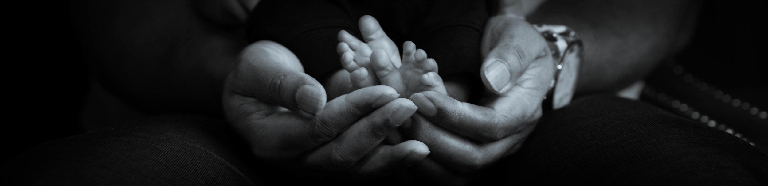 IMG_0044 as Smart Object-1.jpg