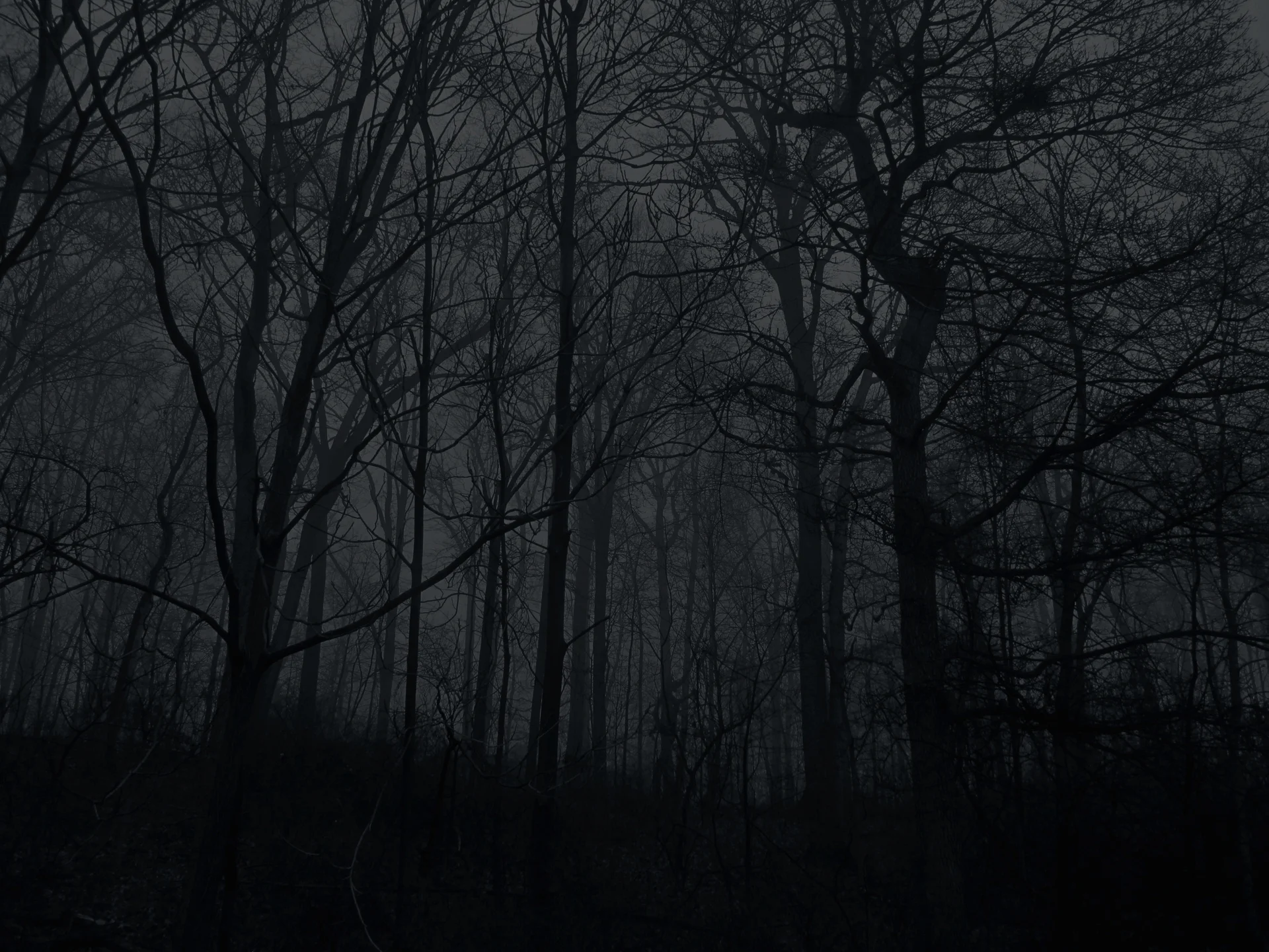 scary-woodss.jpg