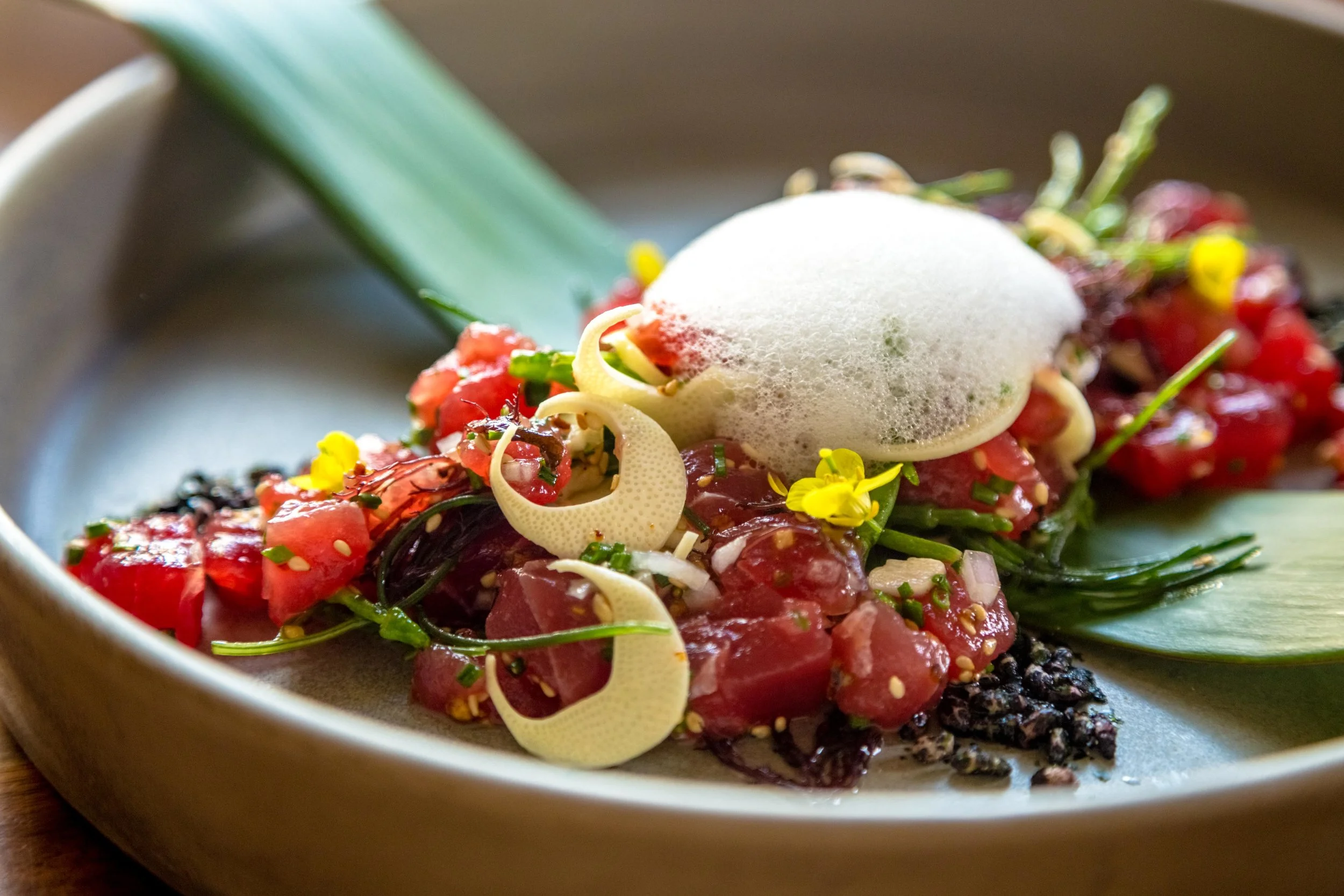 aina-9 POKE by Bay Area Food Critics.jpg