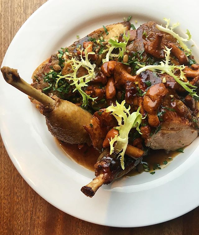 guinea hen salmi, chanterelle, pumpkin seed, persillade
.
.
.
#dinner #entree #buylocal #eat #eater #eats #eatstagram #asheville #avleats #riverartsdistrict #guinea #chanterelles #mushrooms #frenchfood #lefooding