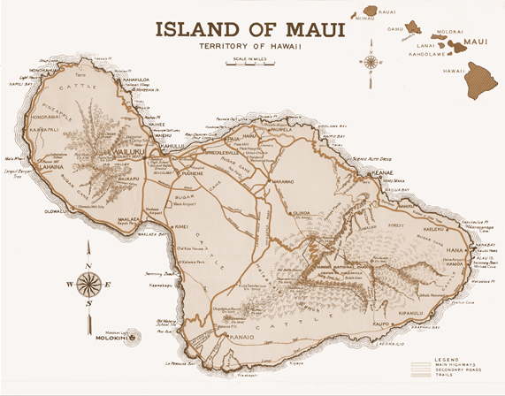 05 HVBIslandofMauiSepia.png