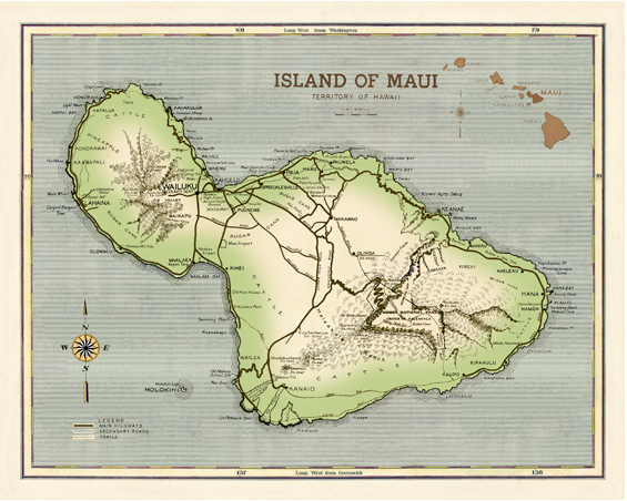 01 BinghamMVBMaui.png