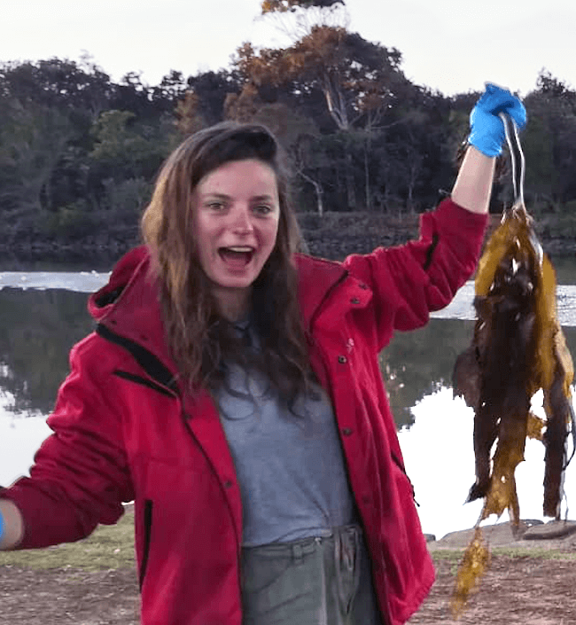 Kelp_Brunswick_July2018.png