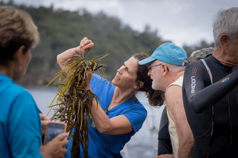 Professor Adriana Verges and a volunteer deciphering the sex of a crayweed individual