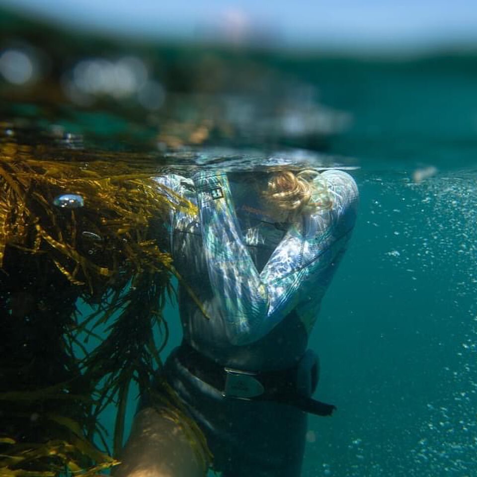 Last week, we were fortunate to have our friends from Patagonia join us for a day of crayweed planting at our latest restoration site at Newport, on Sydney's Northern Beaches.

Thank you to Murray Fraser from @sproutdaily for capturing some amazing p