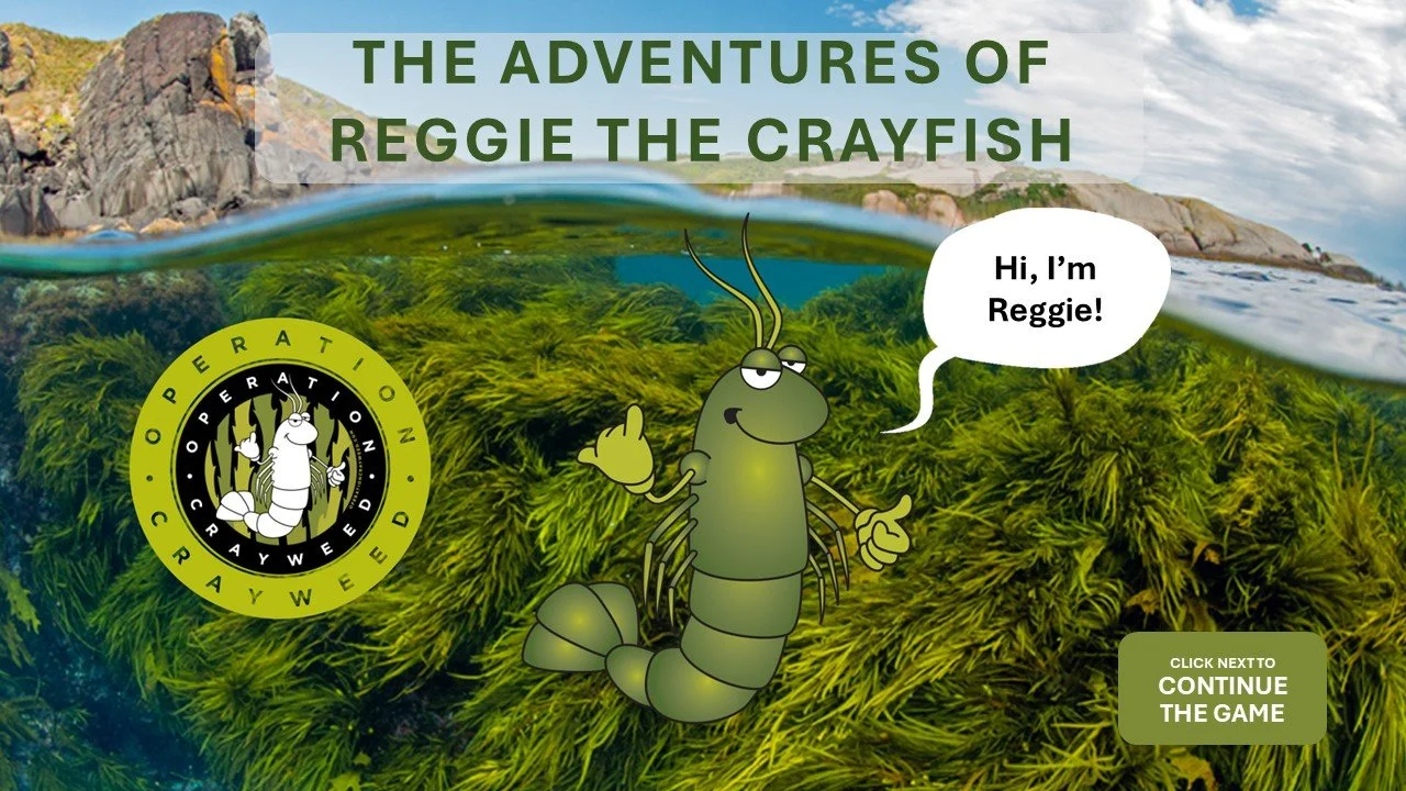 Play and Learn! The Adventures of Reggie the Crayfish